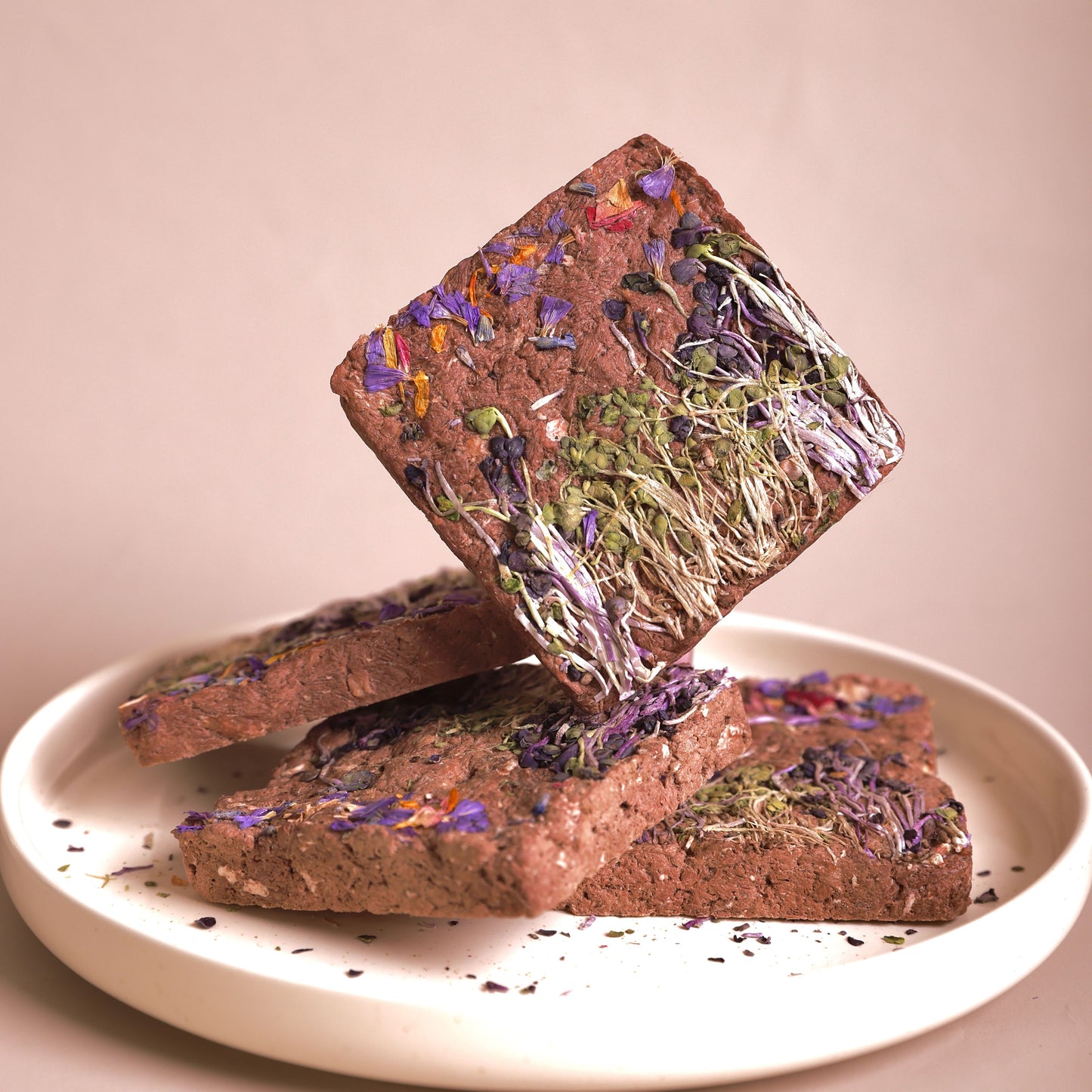 Sprouts Horse Brick